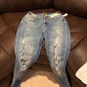 Arizona Jean Company Light Blue Distressed Skinny Jeans